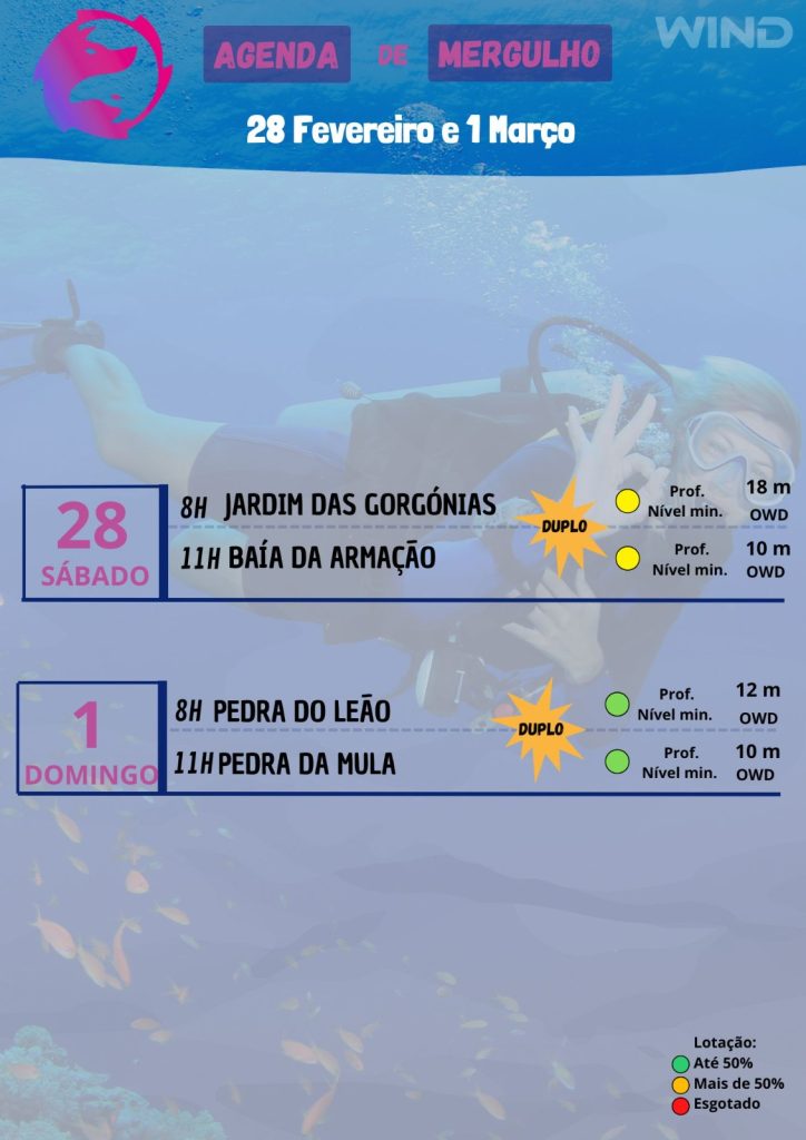 WhatsApp Image 2026-02-25 at 10.21.09